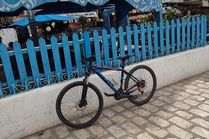 Djerba Electric Bike Rental — 4H and 8H E-Bike Tours with Transfers