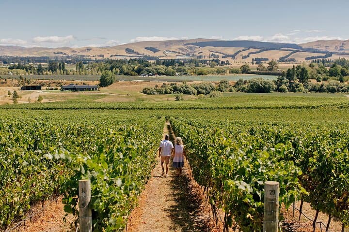 Explore Christchurch and Savor Waipara Valley's Finest Wines photo 3