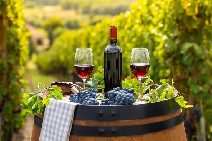 Explore Christchurch and Savor Waipara Valley's Finest Wines photo 4