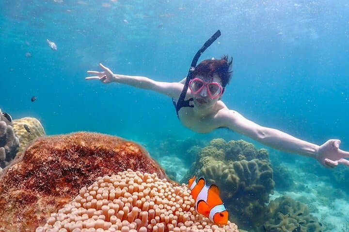 Private Snorkel Adventure to Samaesan Island from Pattaya photo 4
