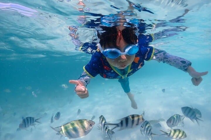 Private Snorkel Adventure to Samaesan Island from Pattaya photo 5