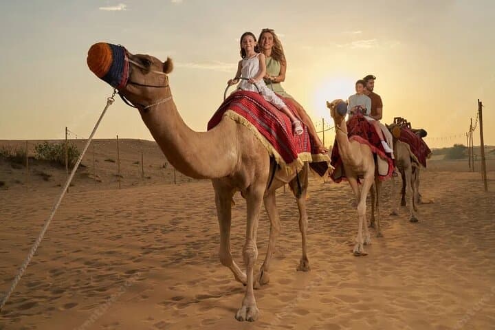 Red Dune Evening Desert Safari — Dubai Dune Bashing, BBQ & Live Mirage Show