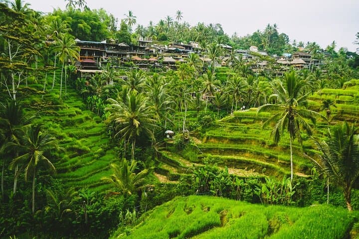 North Bali Photo Loop: Handara Gate, Lake Beratan & Jatiluwih Rice Terraces photo 4