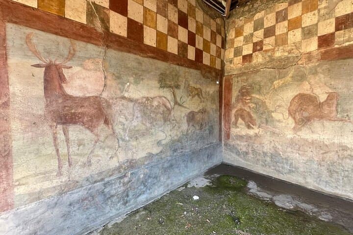 Skip-the-Line Pompeii Guided Tour and Vineyard Lunch from Naples photo 3