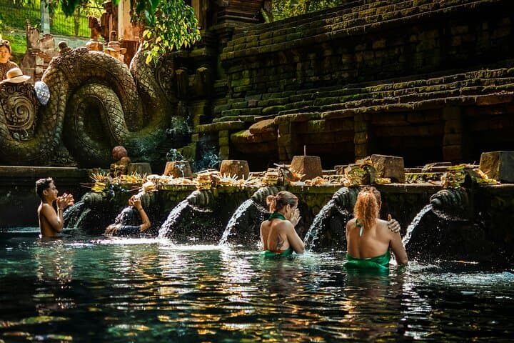 Ubud Essentials: Temple Rituals, Rice-Terrace Walks & Jungle Waterfall Swim