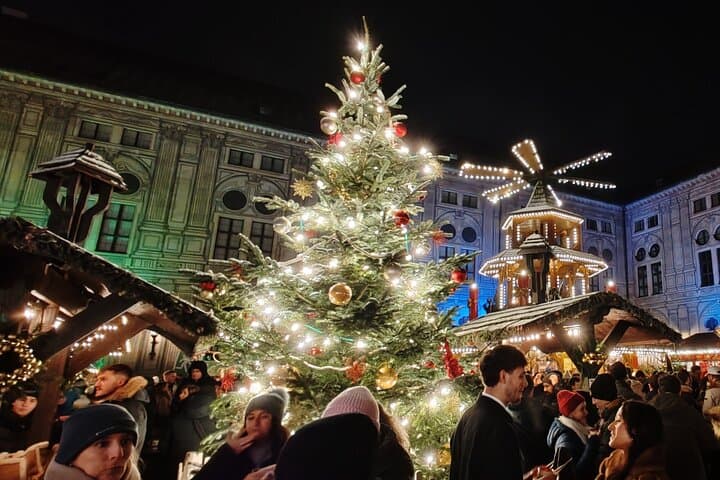 Neuschwanstein Castle Winter Day Trip from Munich — Skip-the-Line Bus Tour & Christmas Markets photo 2
