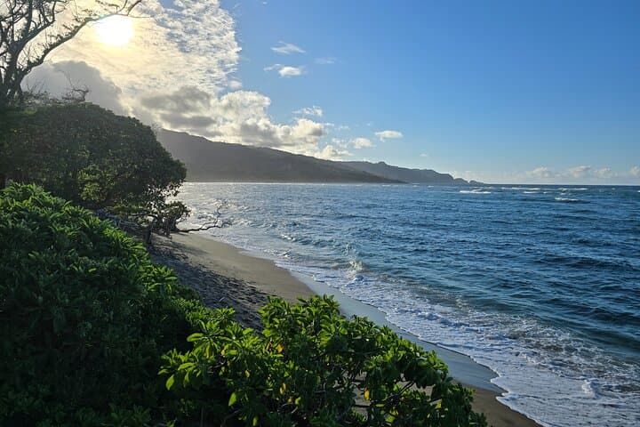 Wailuku Valley to Coast: Private Cultural History Experience in Central Maui