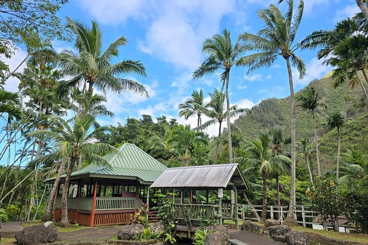 Wailuku Valley to Coast: Private Cultural History Experience in Central Maui photo 3