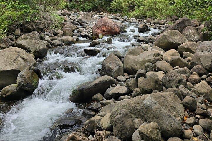 Wailuku Valley to Coast: Private Cultural History Experience in Central Maui photo 6