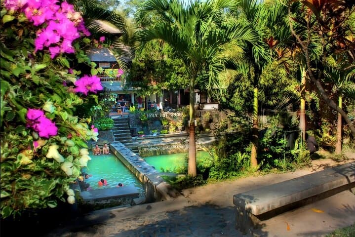 North Bali Expedition — Dolphin Sunrise, Banjar Hot Springs & Wanagiri Views photo 4