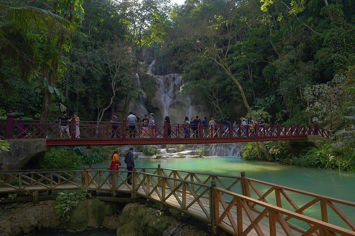 Ubud Essentials: Temple Rituals, Rice-Terrace Walks & Jungle Waterfall Swim photo 6
