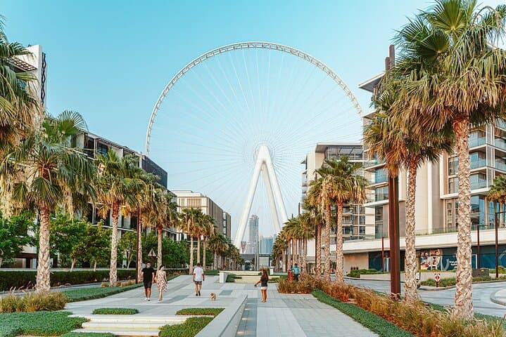 Ain Dubai Observation Wheel: Tickets, Transfers & Skyline Experience