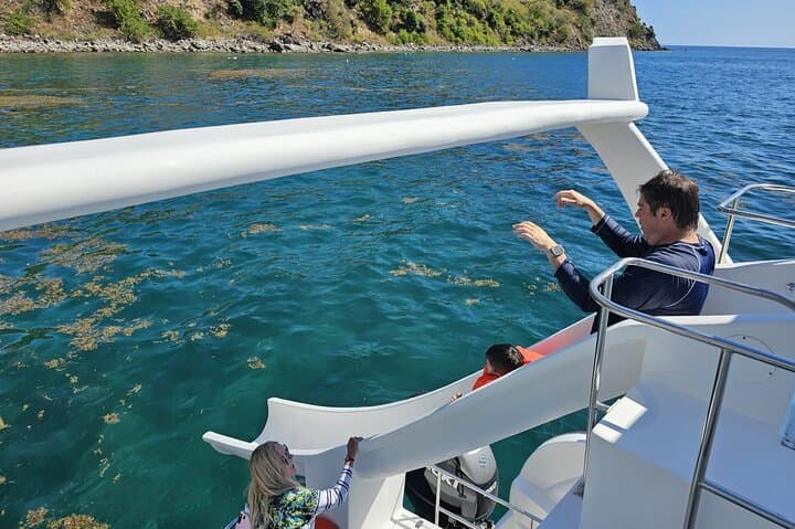 Half-Day Private Waterslide Catamaran Charter in St Kitts — Snorkel & Beach Stop photo 6