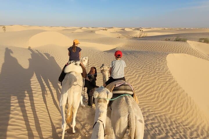 Two-Day Sahara Camp and Land Rover Oases Tour from Tunis