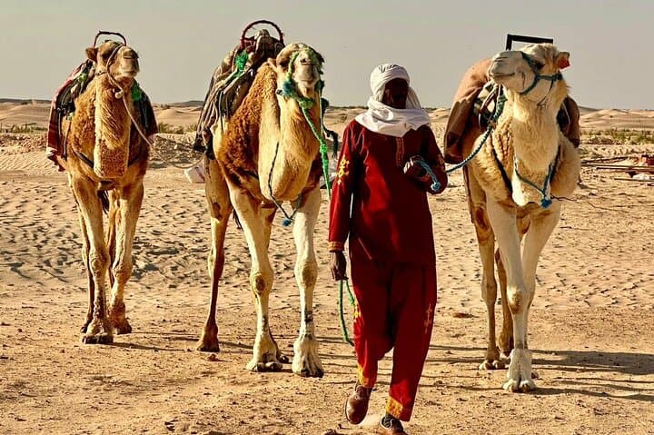 Two-Day Sahara Camp and Land Rover Oases Tour from Tunis photo 2