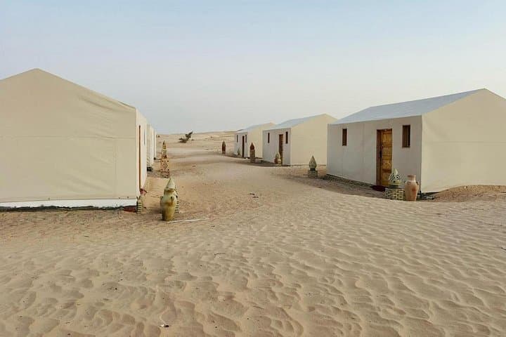 Two-Day Sahara Camp and Land Rover Oases Tour from Tunis photo 4