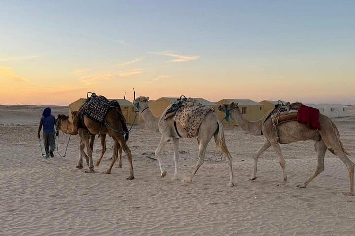 Two-Day Sahara Camp and Land Rover Oases Tour from Tunis photo 5
