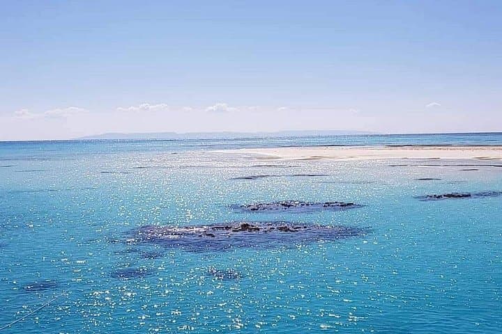 Red Sea Day Sail: Ras Mohamed & White Island Snorkel from Sharm El Sheikh photo 4