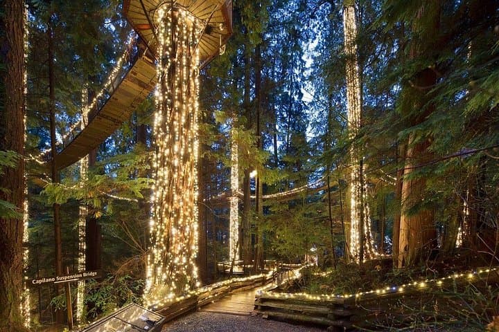 Capilano Canyon Lights Evening Tour — Christmas Lights at Capilano Suspension Bridge Park photo 4