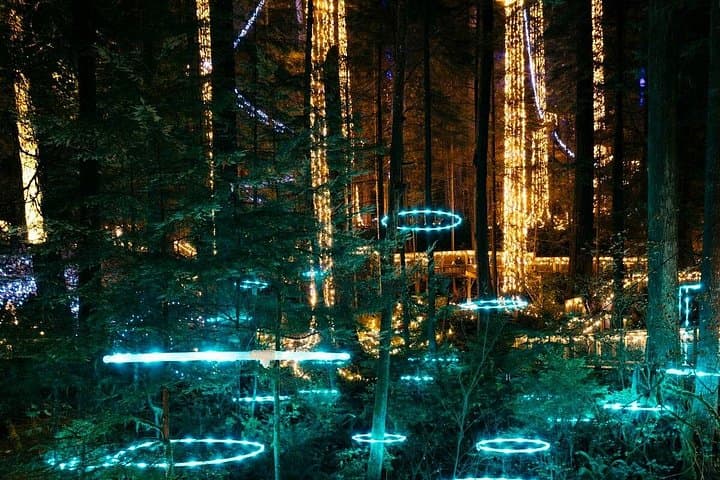 Capilano Canyon Lights Evening Tour — Christmas Lights at Capilano Suspension Bridge Park photo 2