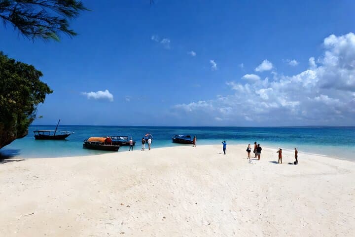 Prison Island Snorkeling and Tortoise Encounter — Day Trip from Stone Town