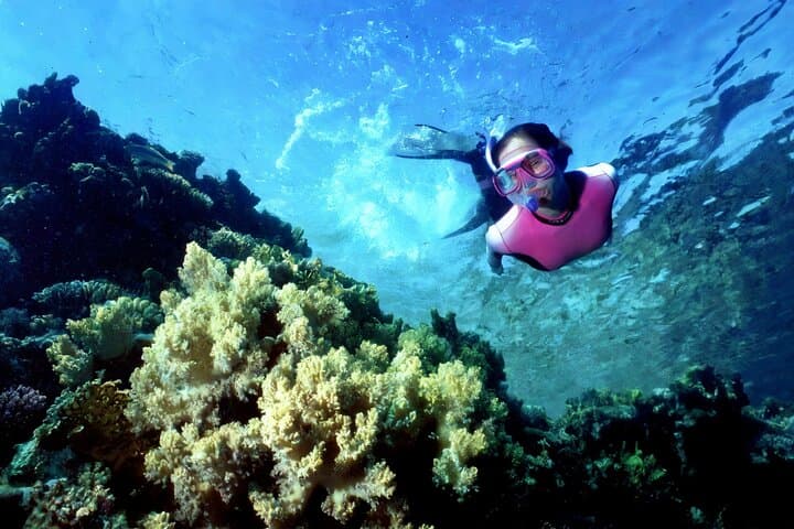Prison Island Snorkeling and Tortoise Encounter — Day Trip from Stone Town photo 3