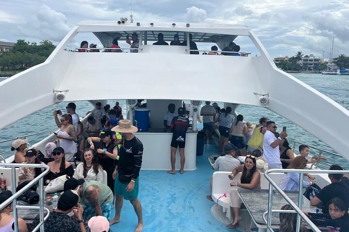Saona Island Day Trip: Speedboat to Pristine Beaches & Natural Pool photo 4