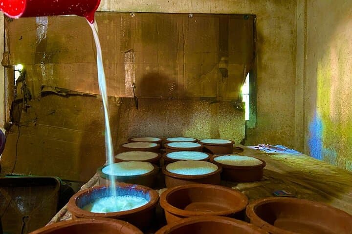 Tissamaharama Fresh Curd Making Experience: Sunrise Buffalo Curd & Village Dairy Tour photo 1