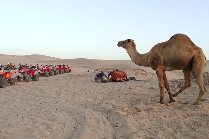 Agadir Quad Safari: Desert Dunes, Berber Villages & Atlantic Coastline photo 3