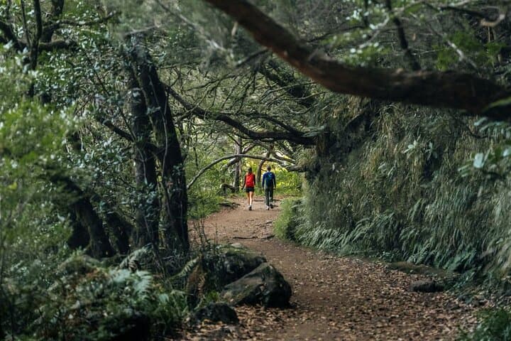 Self-Guided Levada Walk: 25 Fontes & Risco via Rabaçal, Madeira photo 2