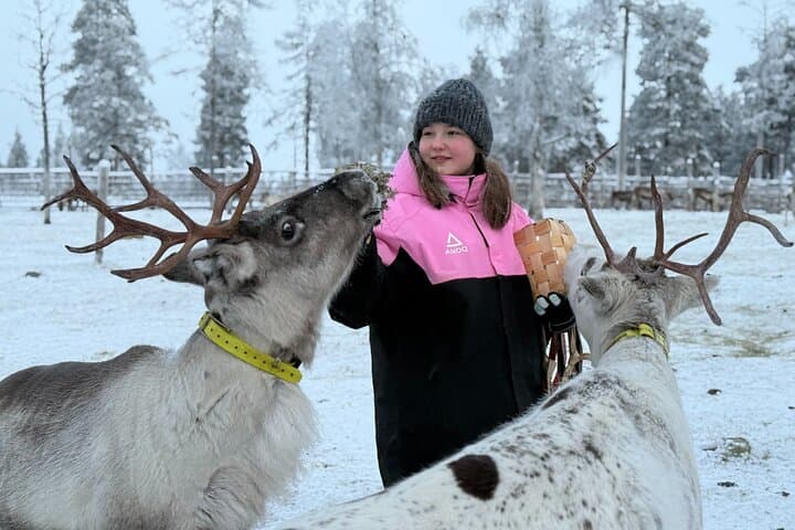 Reindeer Farm Visit & Ice Fishing near Levi: Day Experience with Lunch in Lapland photo 6