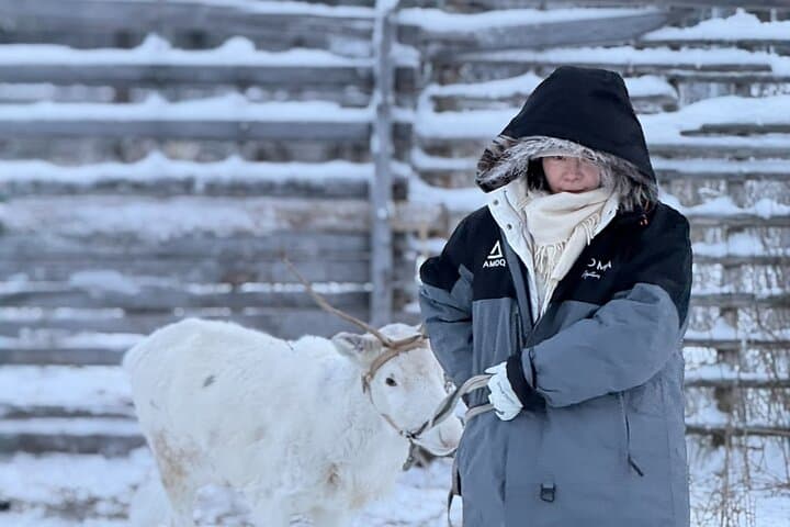 Authentic Arctic Reindeer Farm Visit and Snowshoeing near Levi photo 6