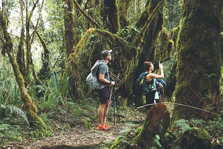 Kilimanjaro Day Hike: One-Day Minivan Private Tour to the Rainforest Foothills