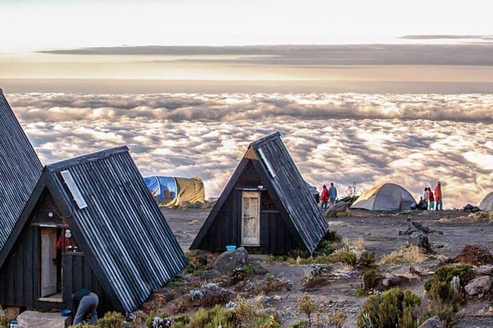 Kilimanjaro Day Hike: One-Day Minivan Private Tour to the Rainforest Foothills photo 4