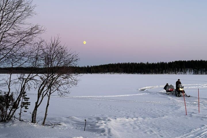 Reindeer Herding & Snowmobile Sleigh Ride in Lompolo: Lapland Wilderness Lunch photo 2