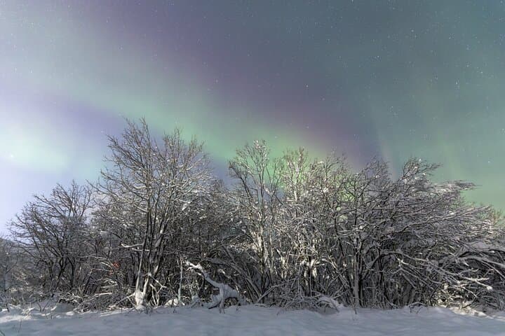 Private Tromsø Northern Lights Minibus Chase: Aurora Tour & Photo Guide photo 6