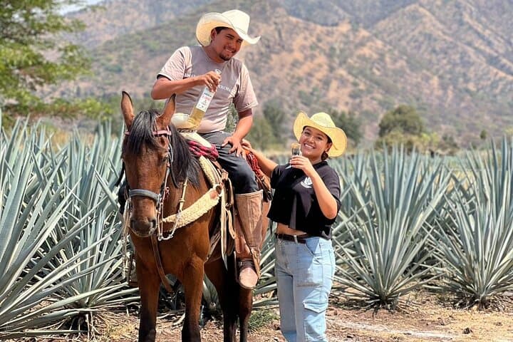 Premium Tequila Route: Agave Fields, Distillery & Volcano View Tour
