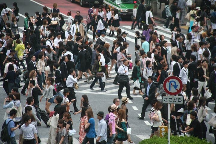 Tokyo Private Walking Tour with a Local Guide — Customize Your Day photo 5