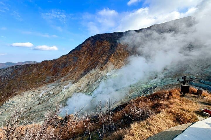 Private Hakone Rail Adventure: Lake Ashi, Owakudani & Hakone Shrine in One Day photo 3