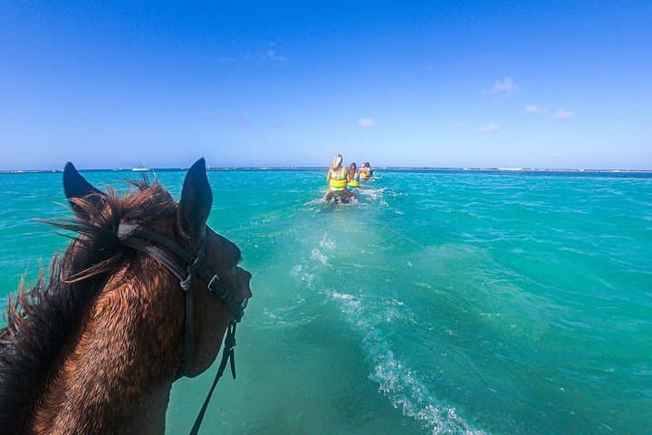 Jamaican Coastline Adventure: Horses, Dunn's River Falls & Zipline in Ocho Rios photo 2