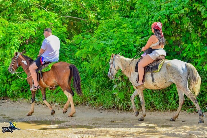 Macao Beach Horseback Riding in Punta Cana — Farm, Cave & Beach Ride photo 5