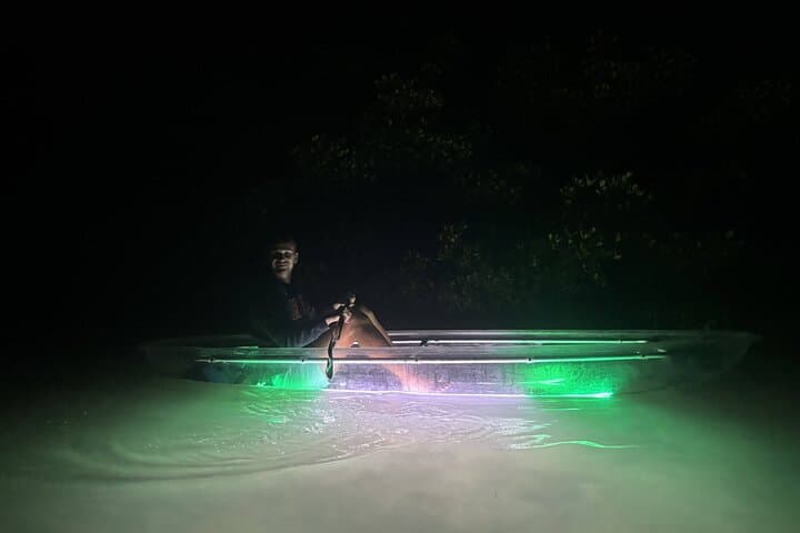 Sarasota LED-Illuminated Clear Kayak Night Tour — Paddle with Dolphins & Manatees