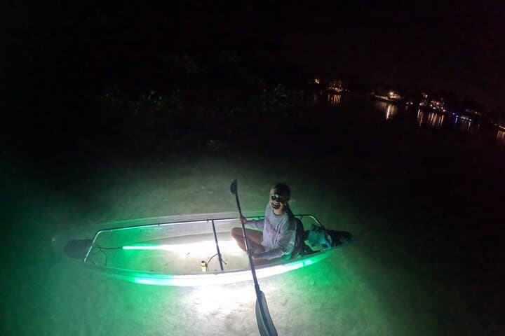 Sarasota LED-Illuminated Clear Kayak Night Tour — Paddle with Dolphins & Manatees photo 2