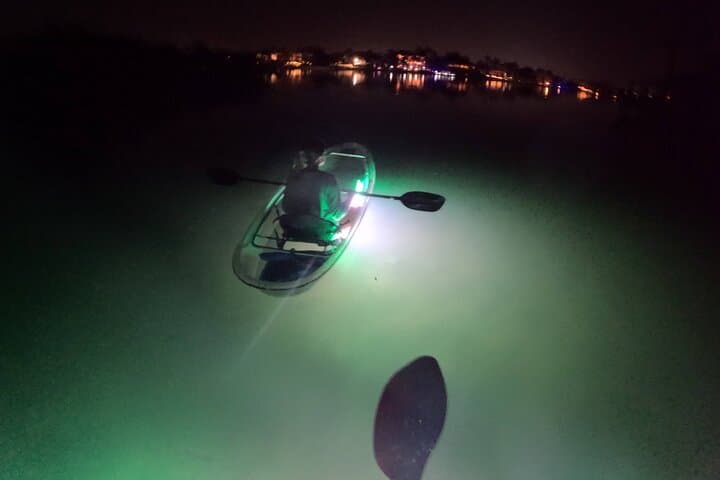 Sarasota LED-Illuminated Clear Kayak Night Tour — Paddle with Dolphins & Manatees photo 3