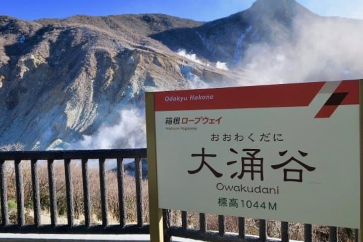 Full-Day Mount Fuji and Hakone: Owakudani Ropeway, Lake Ashi Pirate Ship & Gotemba Outlets photo 4
