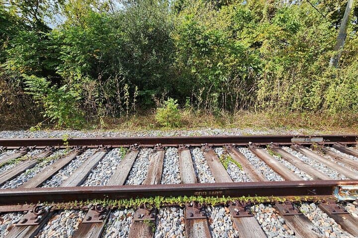 Houston True Crime Tour — Psychos, Killers, and Victims Walking Route photo 6