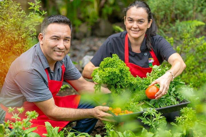 Hands-On Costa Rican Cooking Class with Arenal Volcano Views photo 2