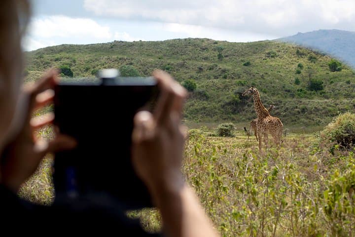 Arusha National Park Day Safari in Little Red Rover — Intimate Wildlife Drive photo 2