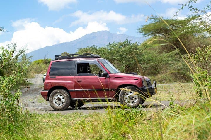 Arusha National Park Day Safari in Little Red Rover — Intimate Wildlife Drive photo 1