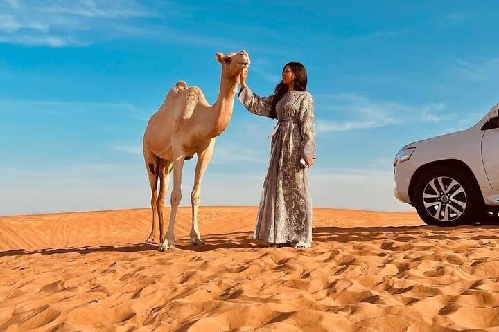 Red Dune Sunset Safari and Heritage Village Dinner in Dubai